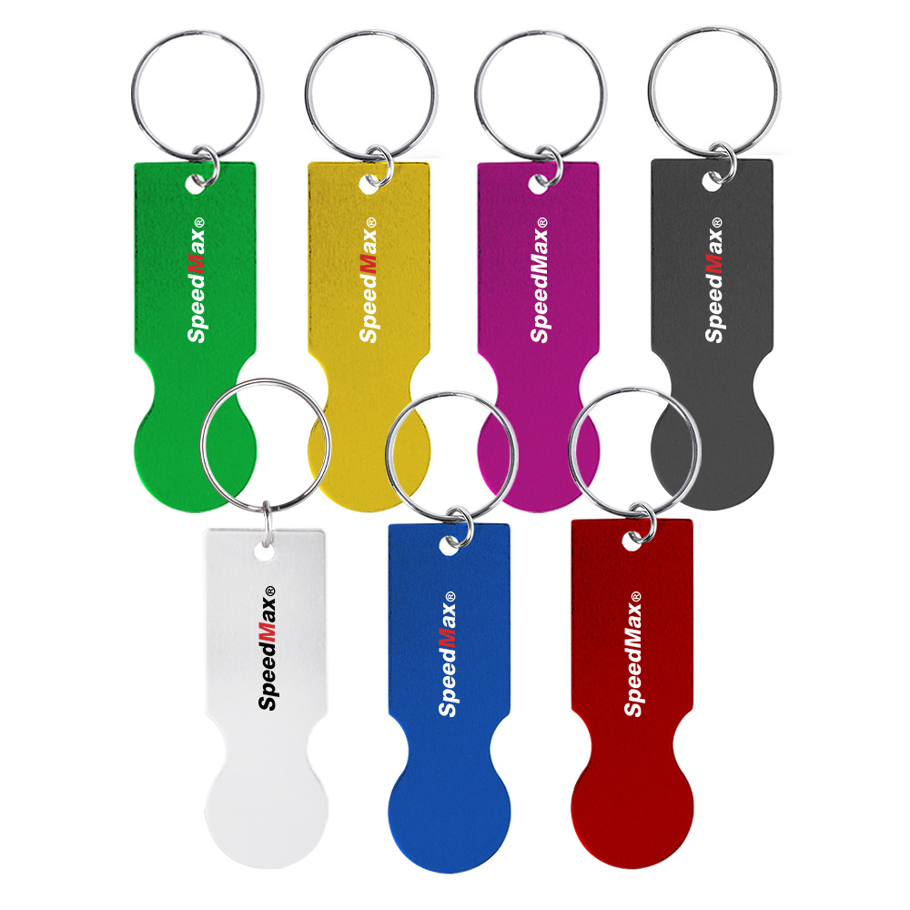 Coin Keychain
